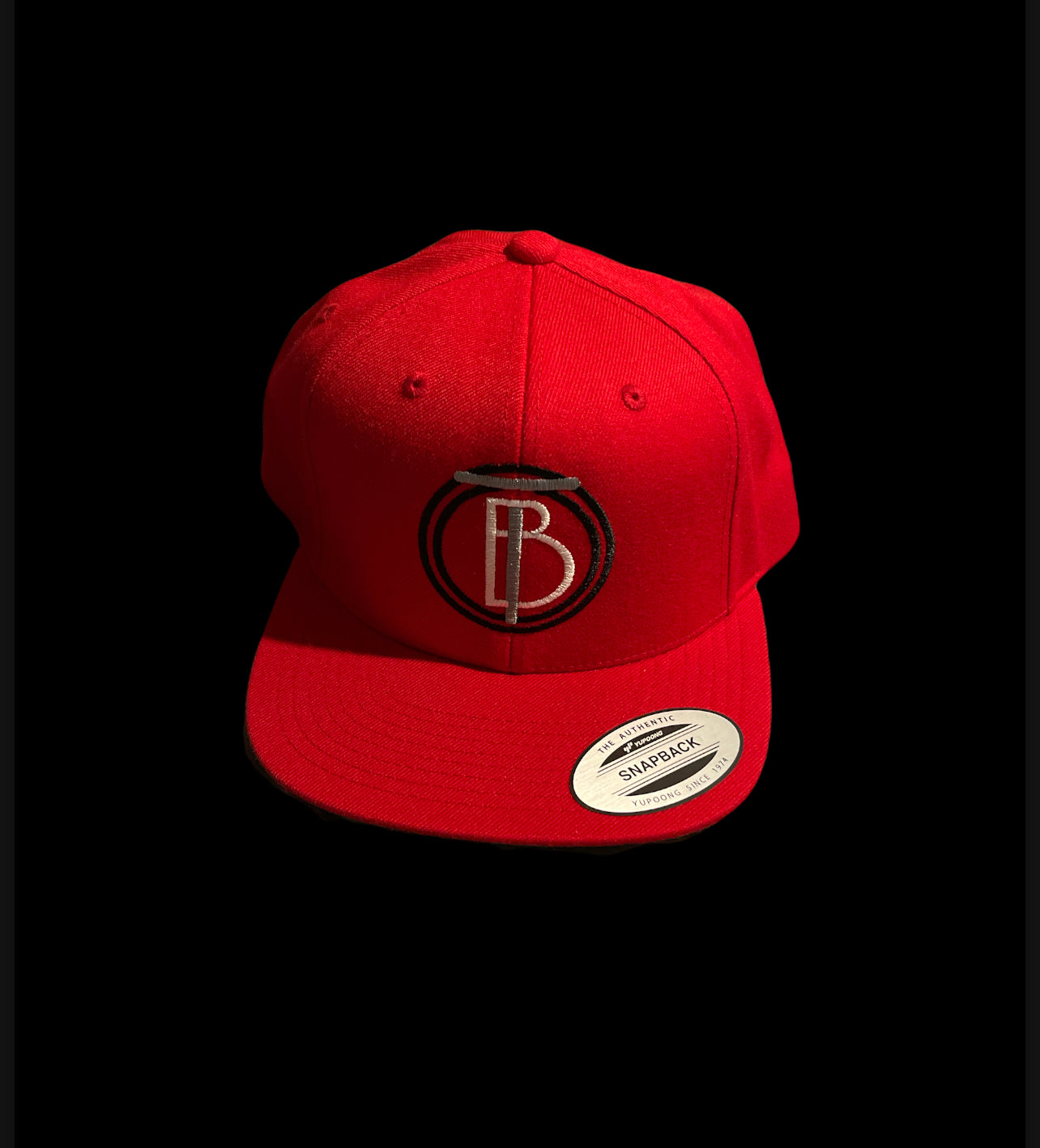 THE BlackOrder logo snapback